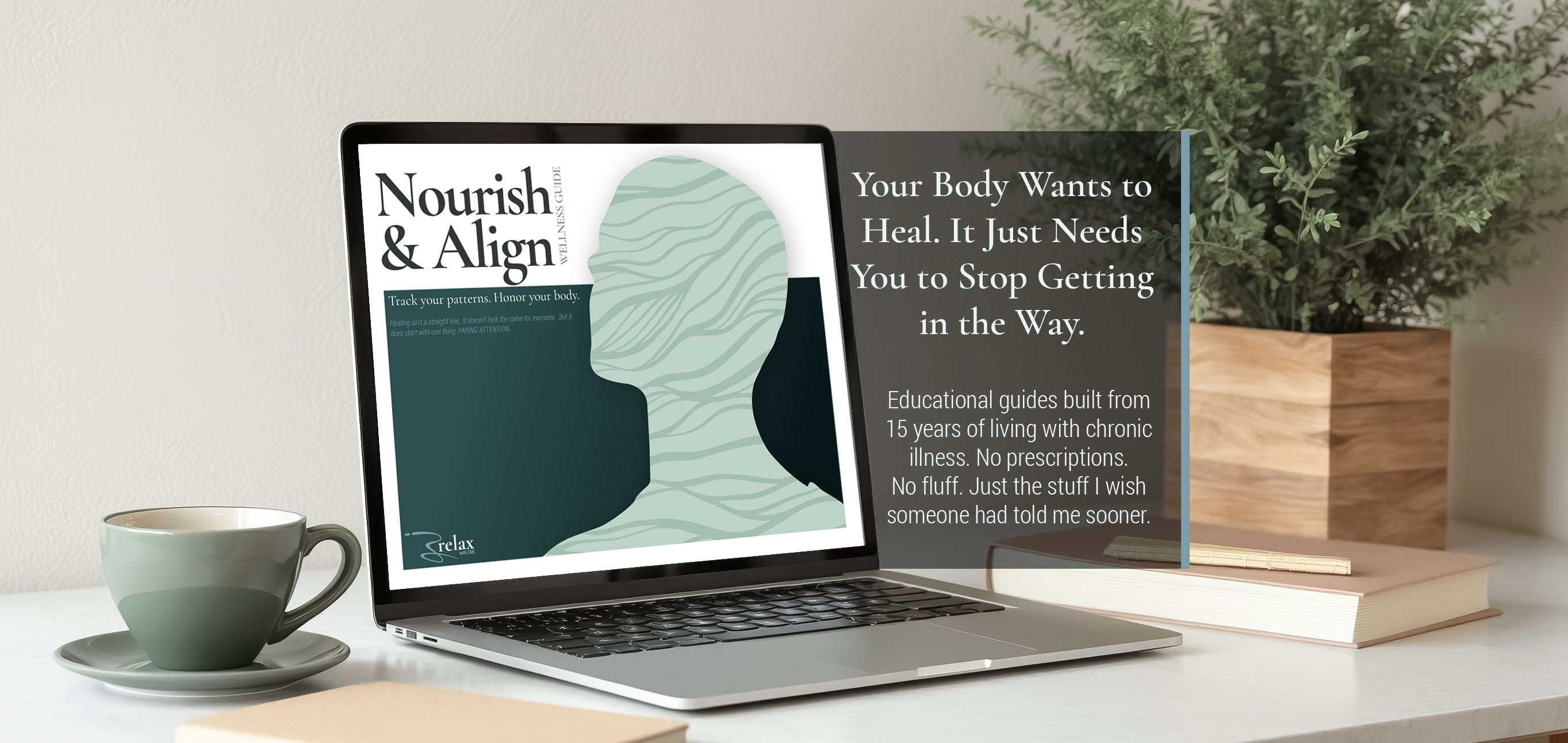 Nourish and Align Wellness Guide — printable symptom and food tracker for women navigating chronic illness and unexplained health symptoms