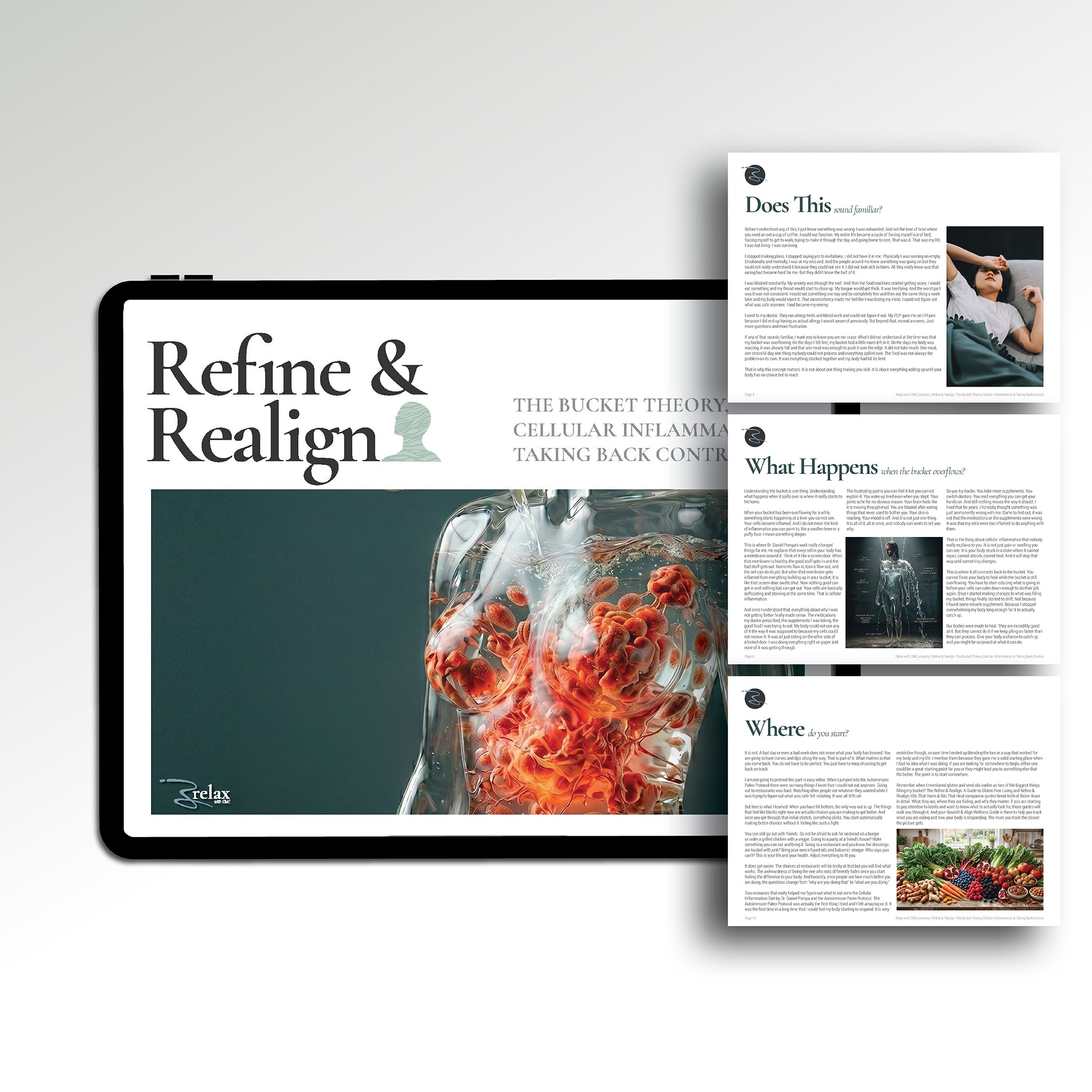 Refine and Realign Bucket Theory multi-page layout — why labs are normal but you feel sick, body overload and inflammation explained