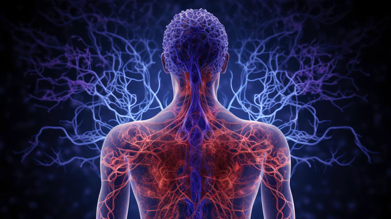 Illustration representing cellular inflammation and toxic overload in the body